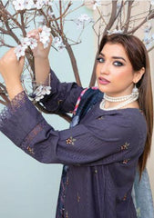 Winter Collection - Feroza - Falak - Lilac - D#12