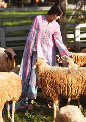 Lawn - Mushq - Solace 26 - Ombre Chikankari - MUNSS#207 - Faint Blossom