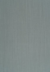 Pasha Gold Line Merino Color# 026 (M Grey)