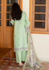 Lawn - Seraph - Lumineer 25 - Verdi