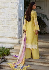 Lawn - Mina Hasan - Unstitched Chikankari 25 - Ayla