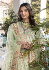 Lawn - Shurooq - Luxury Lawn 25 - SLL#03 - Amazon