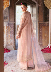 Formals - Zarqash - Arzoo - Wedding Festive 25 - Mehār