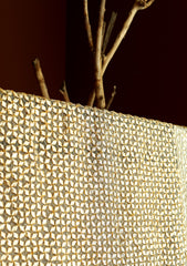 Bahawalpuri Pehnawa - Exclusive Edition - BPD#01