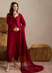 Winter - Humdum - Mushak - Embroidered Karandi 26 - D#03