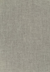 Pasha Treasure Superfine Color#067 (Manor)