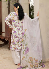 Winter - Humdum - Zaiba - Karandi 25 - D#10