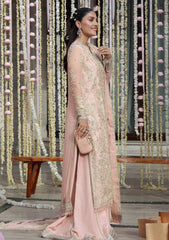 Formals - Marwat Textiles - Gulmina - Luxury Handwork 25 - D#05 - AROOBA