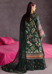 Winter - Nureh - The Silk - Festive Edition - S25#29