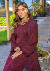 Winter Collection - Bin Rashid - Jahanara - BRJ24#02