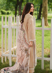 Winter - Asifa & Nabeel - Eden Cambric 25 - ECU#03 - Ivory Haze