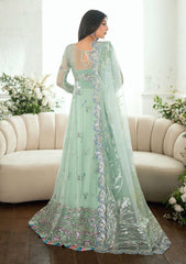 Formals - Mushq - Shaam Shandar - Chiffon 25 - SITAARA