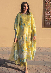 Lawn Collection - Rang Rasiya - Premium - RSP24#01 - Amani