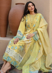 Lawn Collection - Rang Rasiya - Premium - RSP24#01 - Amani