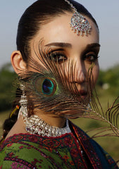 Winter Collection - Hussain Rehar - Karandi AW - D#11 - Corral