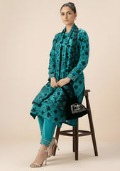 Winter - Riwaj - Velvet Suit - Printed Edit - D#06 - D Ferozi