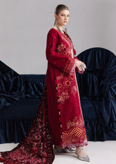 Winter - Parishay - Velvet Palachi Shawl 26 - CHE#03