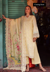 Lawn - Marjjan - Carnation 25 - MLB#14 B