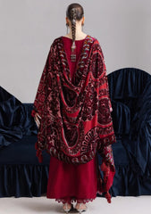Winter - Parishay - Velvet Palachi Shawl 26 - CHE#03