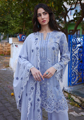 Lawn - Image - Spring Printkari - ISP25#04 - Parvaneh