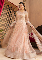 Formal Collection - Neeshay - Dastgah - NAVA