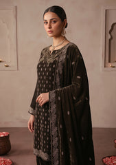 Winter - Riwaj - Velvet Stone Work 3 Pcs Suit - D#05 - M Brown