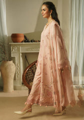 Winter - Humdum - Mushak - Embroidered Karandi - H25#09
