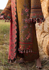 Winter - Hussain Rehar - Premium Khaddar - Edit 25 - Gitiara