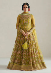 Formals - Vera - Wedding Festive 26 - Marigold Mustard Pishwas Set