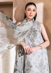 Lawn - Humdum - Kanwal 26 - D#10