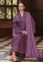 Winter - Noor by Saadia Asad - Pashmina Shawl 25 - NSP#06 - Serenity