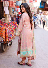 Lawn Collection - Asim Jofa - Basic Prints 24 - AJBB#17