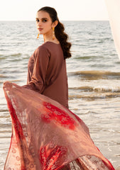 Lawn - Riaz Arts - Tehzeeb Chikankari - RT25# 428