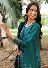 Winter - Parishay - Panache - Palachi Shawl 25 - PNE#03