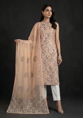 Formals - Riwaj - Fancy 26 - Chikankari & Mukesh - 2 Pcs - D#01 - D Peach