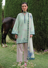 Lawn - Deyar - Summer Lawn 25 - D#03 - EDEN