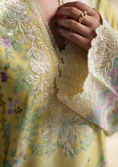 Lawn - Neeshay - Summer Lines 26 - Vol II - VIRELIA