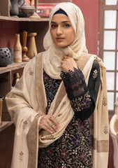 Winter Collection - Riaz Arts - DastKari - D#12