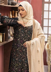 Winter Collection - Riaz Arts - DastKari - D#12