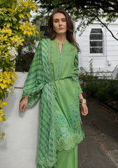 Lawn - Sobia Nazir - Basics 25 - SNBS#7B