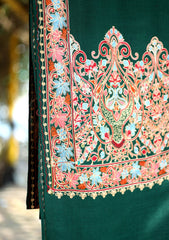 Pashmina Ari Work Jaaldar Shawl D - 06 - DS Green