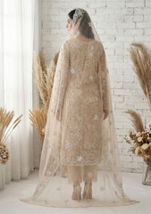 Formals - Riwaj - Fancy Net - 2 Pcs Suit - D#01 - L Peach