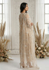 Formals - Riwaj - Fancy Net - 2 Pcs Suit - D#01 - L Peach