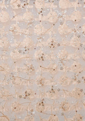 Formals - Riwaj - Fancy Net - 2 Pcs Suit - D#01 - L Peach
