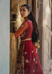 Formal Collection - Roheenaz - Pehli Si Muhabbat - Wedding - Jabeen