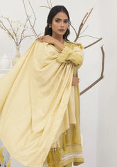 Winter Collection - Lakhany - Pashmina Shawl Edition - LG-AA-0023-B