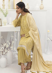 Winter Collection - Lakhany - Pashmina Shawl Edition - LG-AA-0023-B