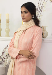 Winter Collection - Lakhany - Pashmina Shawl Edition - LG-AA-0023-A