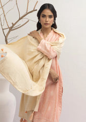 Winter Collection - Lakhany - Pashmina Shawl Edition - LG-AA-0023-A