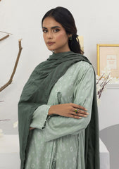 Winter Collection - Lakhany - Pashmina Shawl Edition - LG-ZH-0071-B